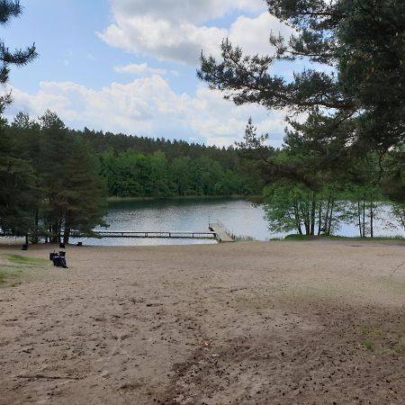 Apartament Pod Sosnami 1 Noclegi Otw Borowno Wlk Skarszewy 외부 사진