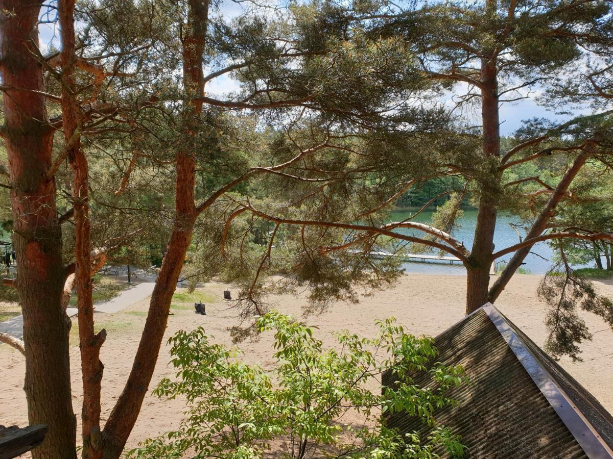 Apartament Pod Sosnami 1 Noclegi Otw Borowno Wlk Skarszewy 외부 사진